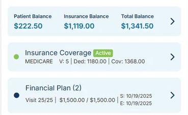 The patient financial panel — patient, insurance and total balances, active insurance coverage with deductible and coverage figures, and the financial plan.